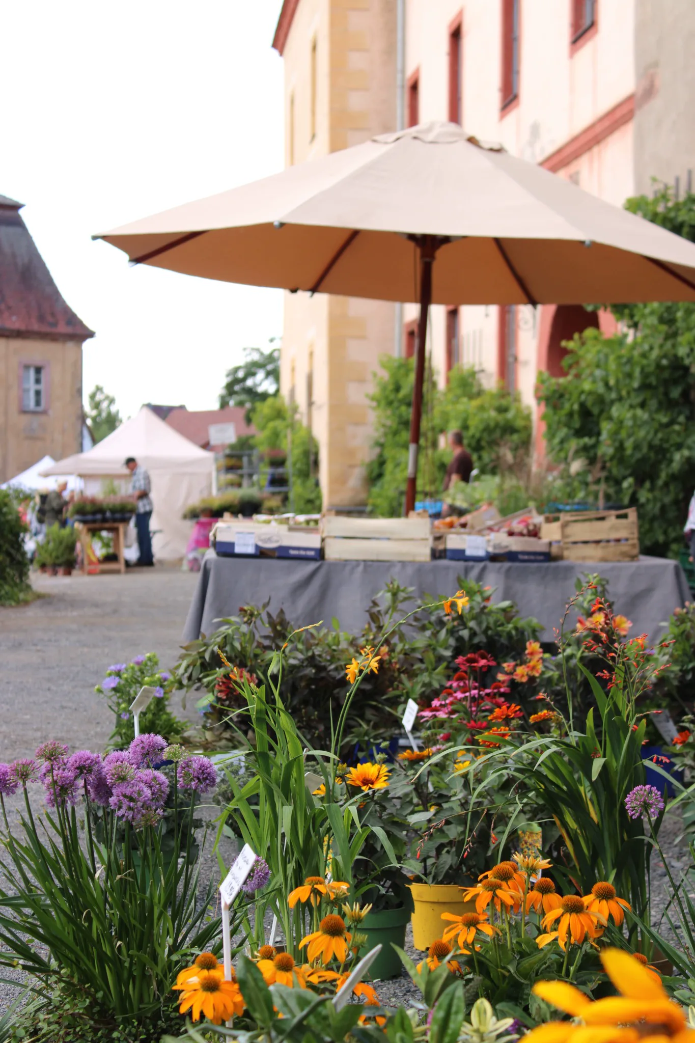 Blühende Stauden und Pflanzenstände am Schloss Trebsen